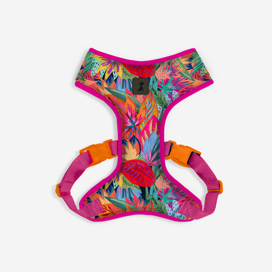 Pechera Flora Efímera Monarcas Pets Co.