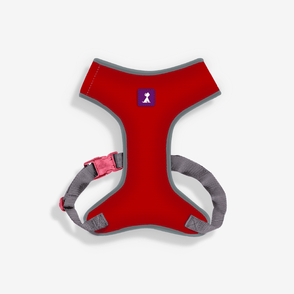 Pechera roja ergonómica para perros | Monarcas Pets Monarcas
