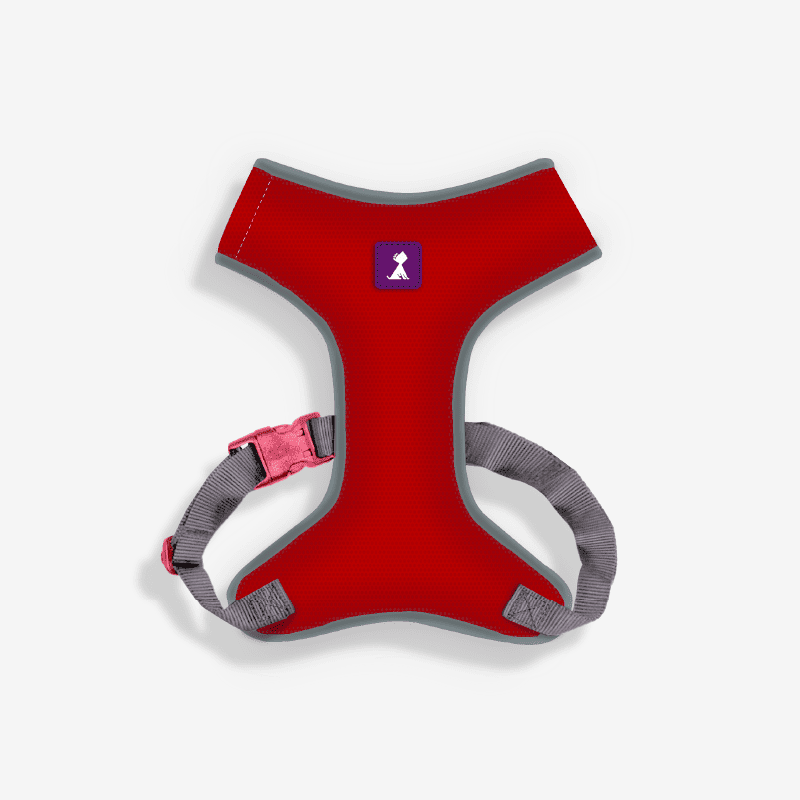 Pechera roja ergonómica para perros | Monarcas Pets Monarcas