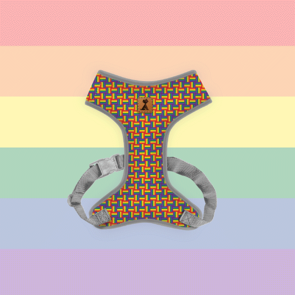 Pechera Orgullo Edición Limitada 🏳️‍🌈 + Traílla + envío (Copia) Monarcas Pets Co.