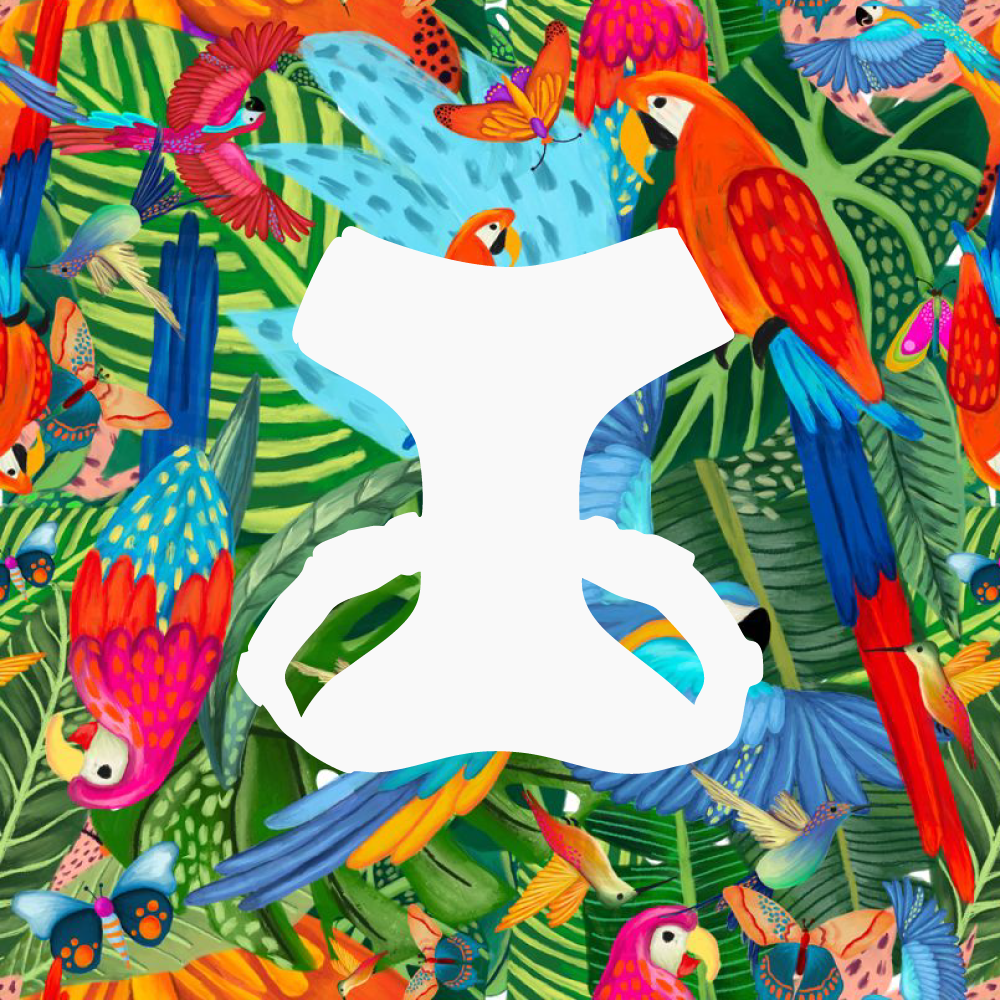 Pechera Vuelo Perpetuo | Monarcas Pets Monarcas Pets Co.