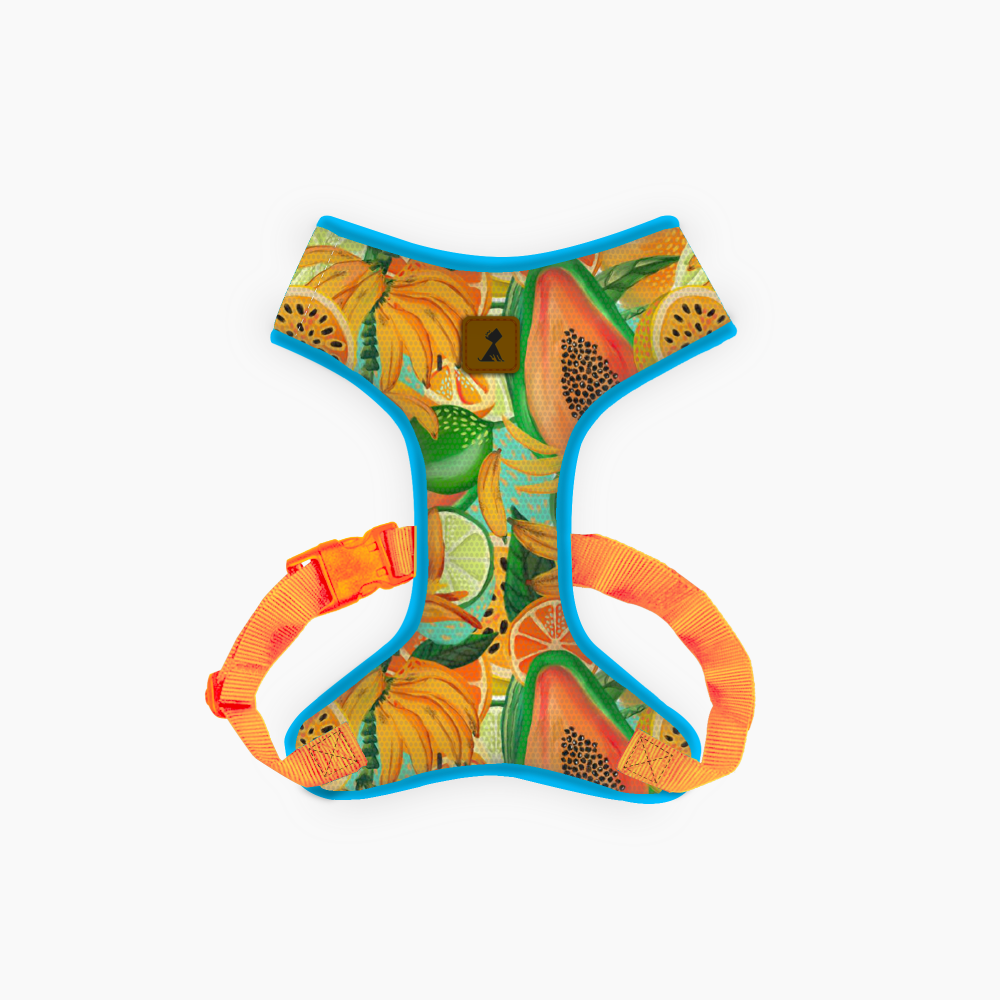 Pechera Néctar Sagrado | Monarcas Pets Monarcas Pets Co.