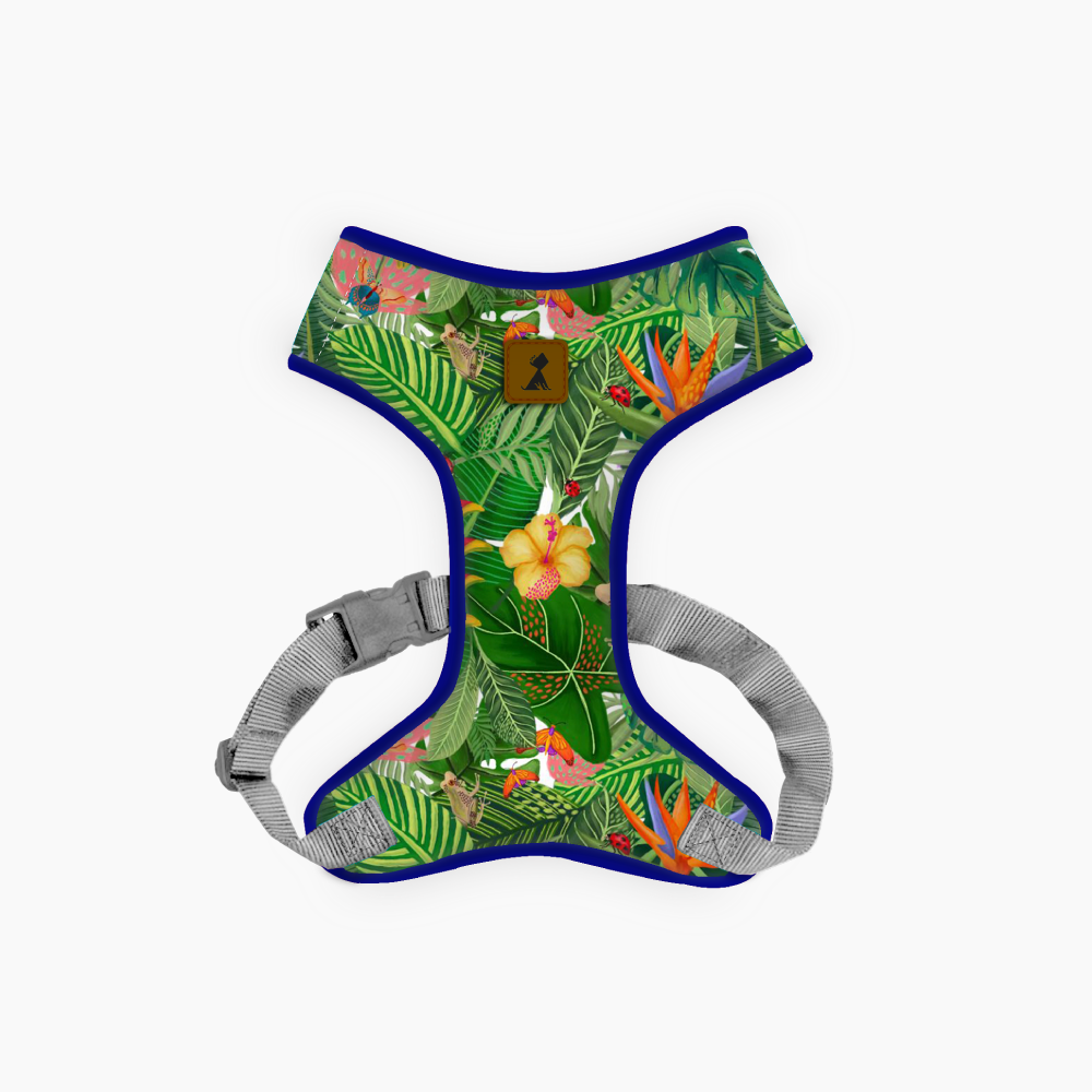 Pechera Pulso Profundo | Monarcas Pets Monarcas Pets Co.