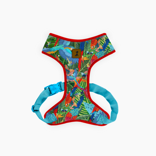 Pechera Vuelo Perpetuo | Monarcas Pets Monarcas Pets Co.