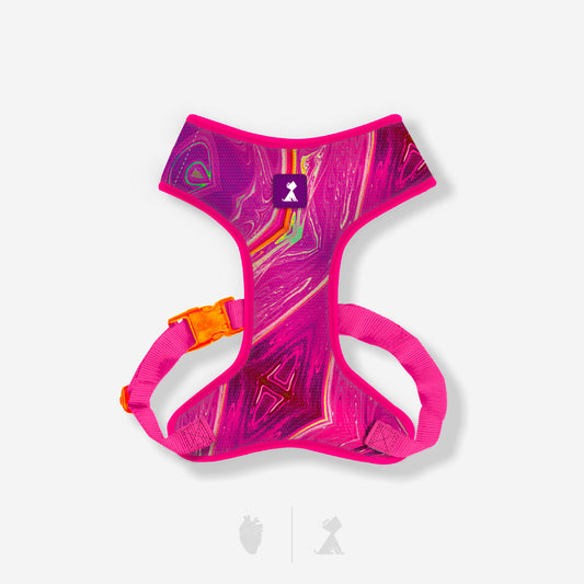 Combo Monarcas | Latidos Rosa Monarcas