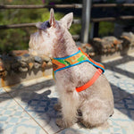 Pechera Néctar Sagrado para Perro | Colección Raíz Viva — Monarcas Pets Monarcas Pets Co.