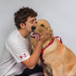 Humano Monarcas | Latidos | Human Alergy Meow Monarcas Pets Co.