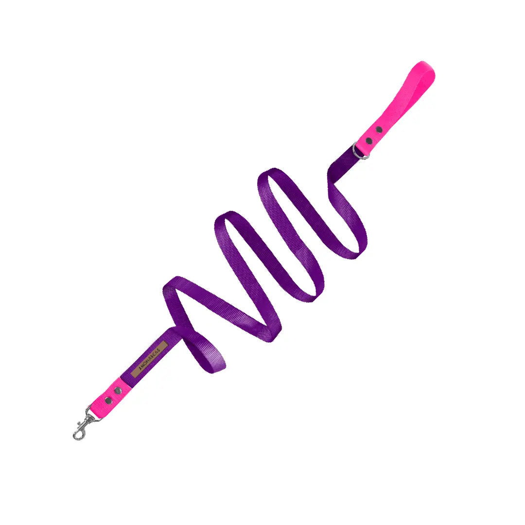 Traílla Monarcas | Neón Morada Monarcas