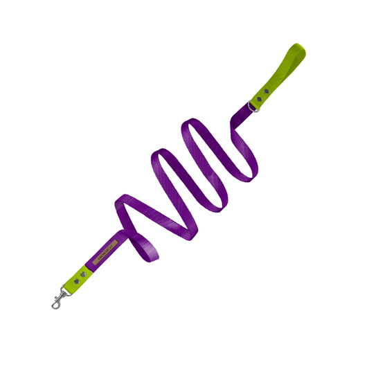 Traílla Monarcas | Latidos Morada Monarcas