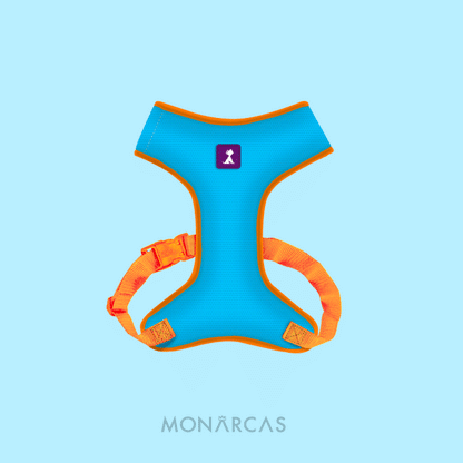 Pechera Monarcas | Neón Azul Monarcas