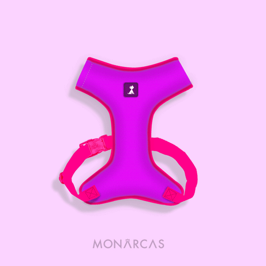 Pechera Monarcas | Neón Morado Monarcas